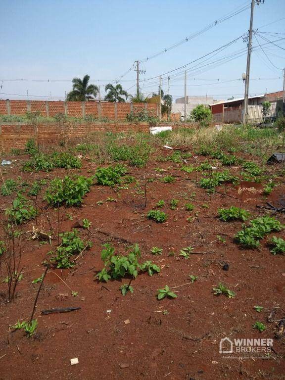 Terreno à venda, 250M2 - Foto 2