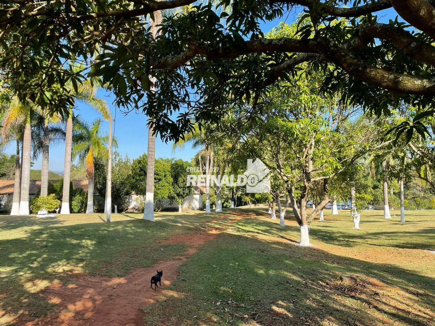 Sítio à venda com 2 quartos, 800m² - Foto 8