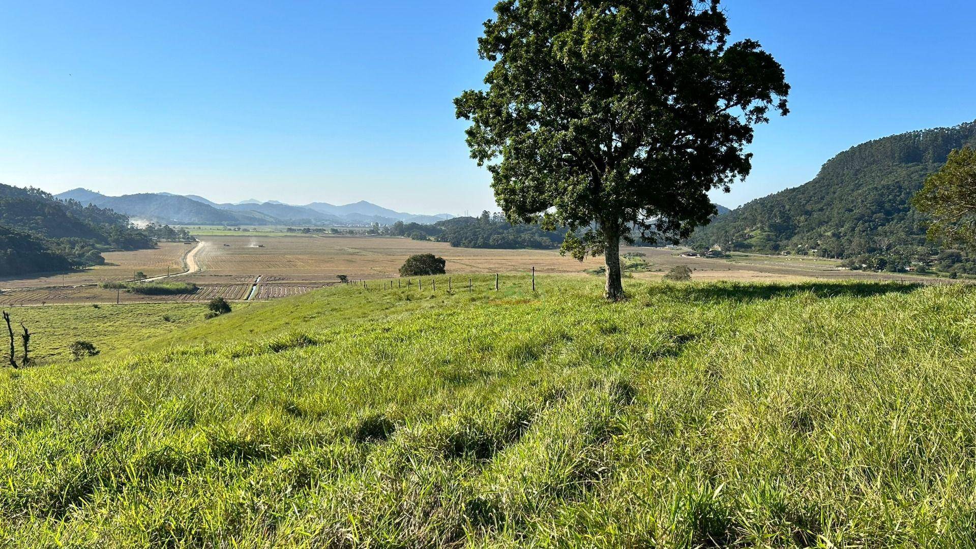 Terreno, 27 hectares - Foto 17