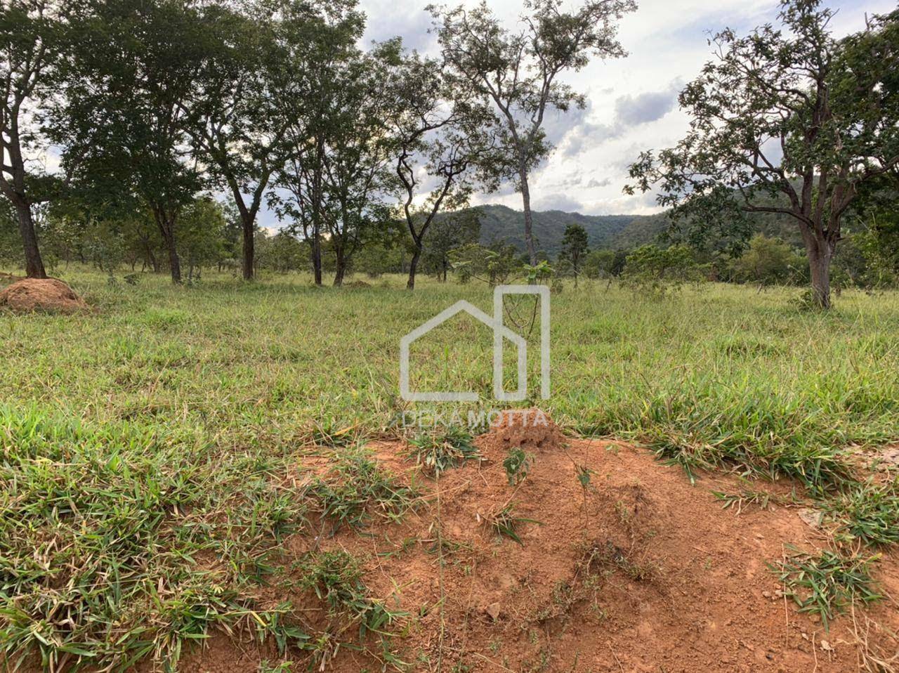 Fazenda à venda com 3 quartos, 21217700000M2 - Foto 3