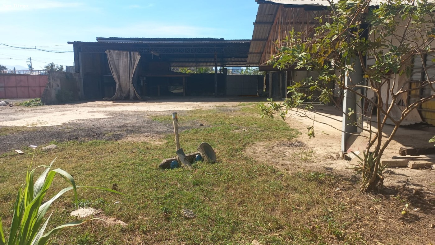 Depósito-Galpão - Foto 5