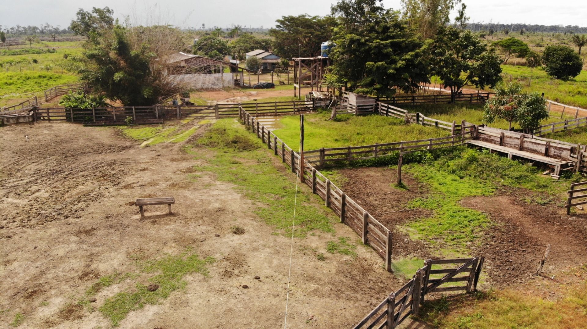 Fazenda-Sítio-Chácara, 1365 hectares - Foto 3