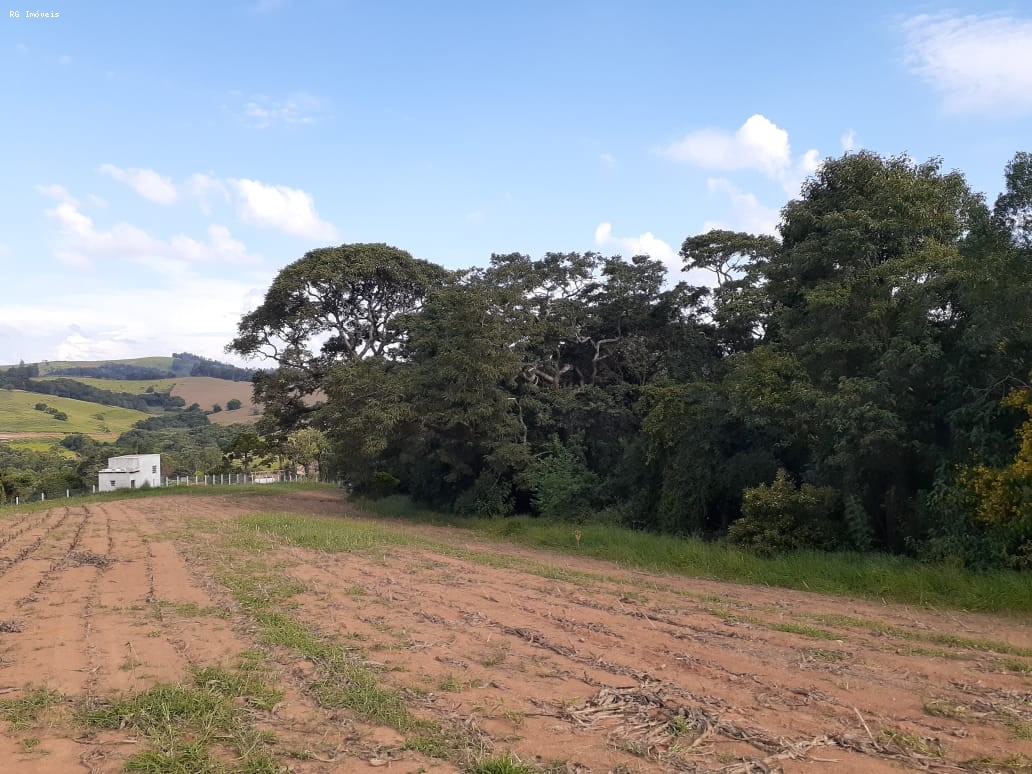 Sítio à venda com 2 quartos, 2200m² - Foto 4