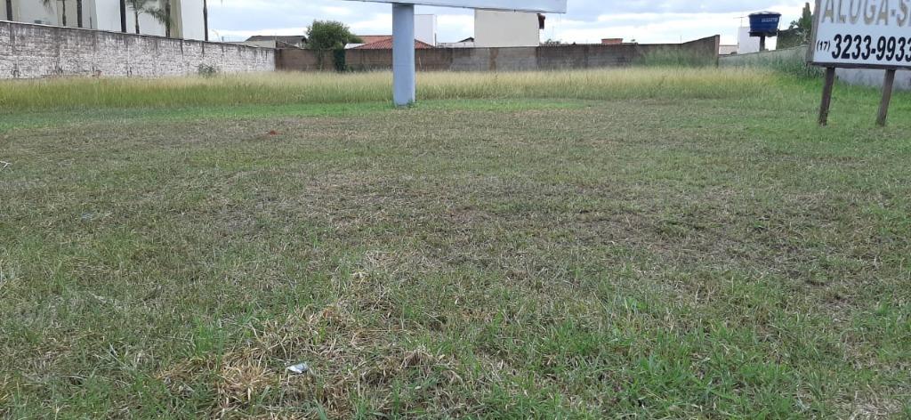 Terreno para alugar, 1600m² - Foto 3