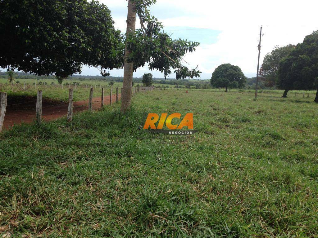 Fazenda à venda com 3 quartos, 1000000M2 - Foto 4