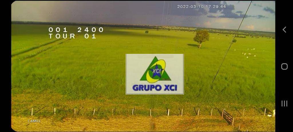 Fazenda, 1239 hectares - Foto 10