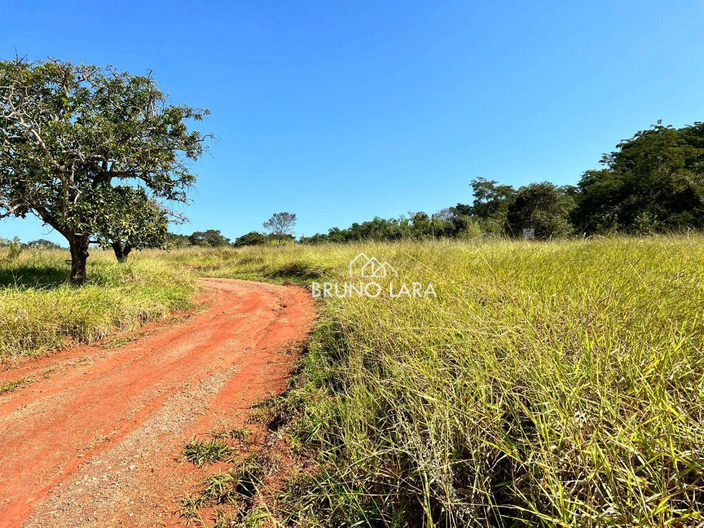 Fazenda à venda com 6 quartos, 1200m² - Foto 9