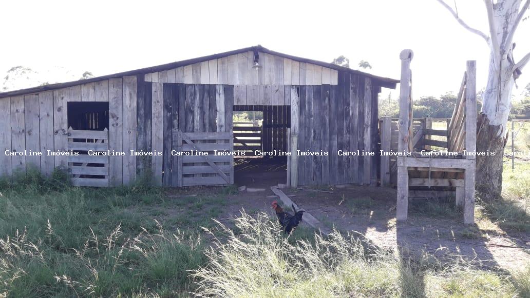 Fazenda à venda com 4 quartos, 300m² - Foto 34