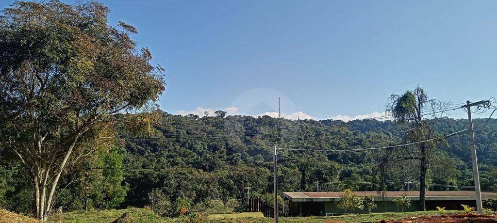 Loteamento e Condomínio à venda, 1000M2 - Foto 9