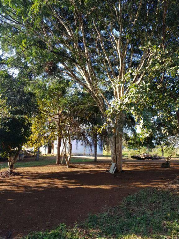 Sítio à venda com 7 quartos, 147000M2 - Foto 3