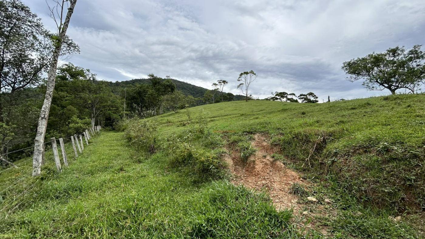 Terreno, 9 hectares - Foto 19