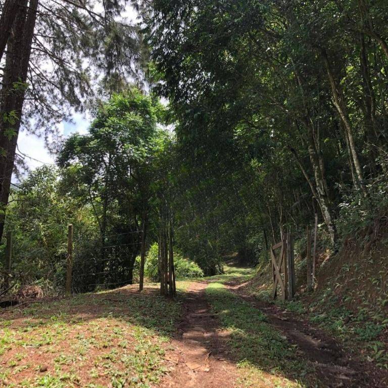 Chácara, 3 quartos, 3 hectares - Foto 4