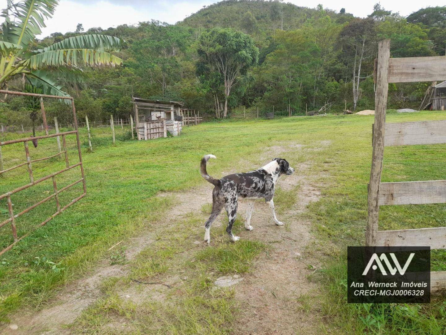 Terreno à venda, 300M2 - Foto 3