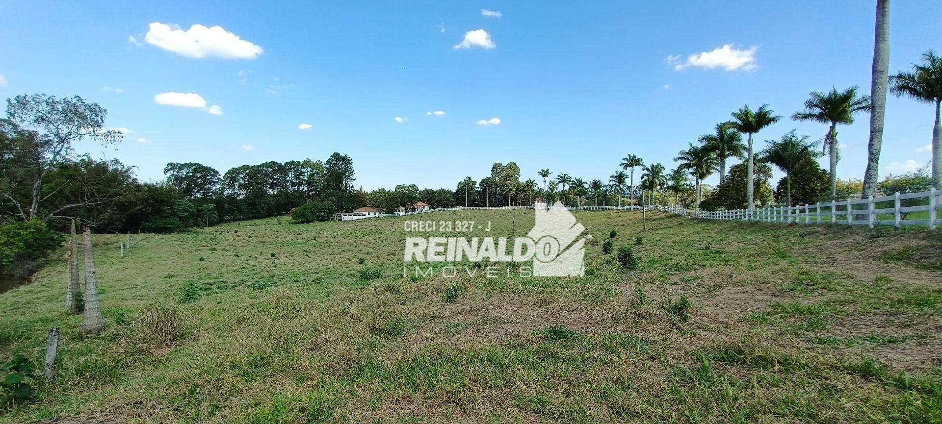 Haras e Área Rural Padrão à venda com 16 quartos, 2500m² - Foto 186