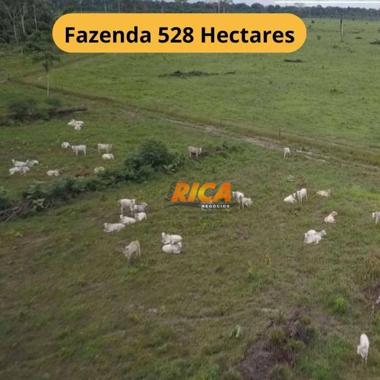 Fazenda à venda com 3 quartos, 5280000M2 - Foto 1