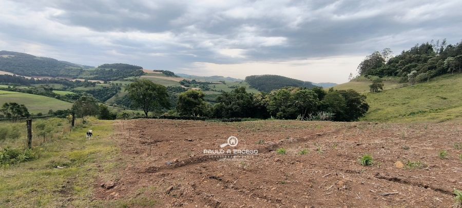 Sítio, 7 hectares - Foto 14