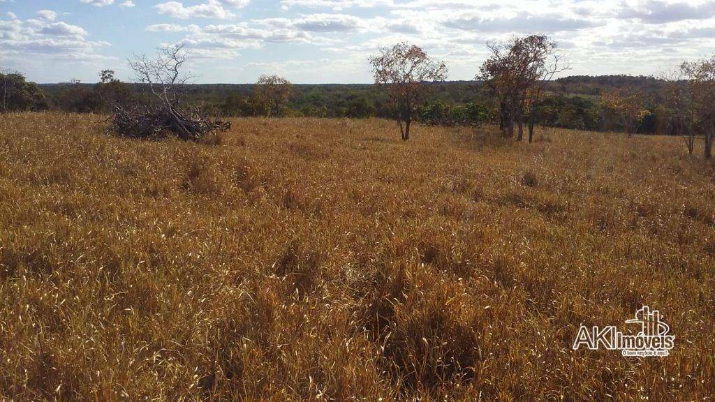 Fazenda à venda com 2 quartos, 4500000M2 - Foto 22