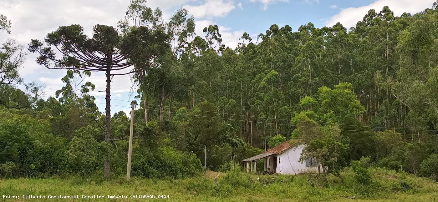 Loteamento e Condomínio à venda, 320000m² - Foto 2