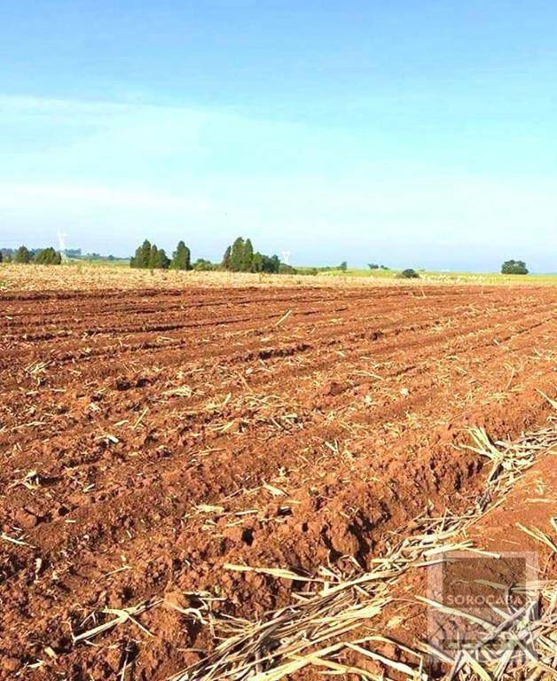 Fazenda à venda, 6050000M2 - Foto 23