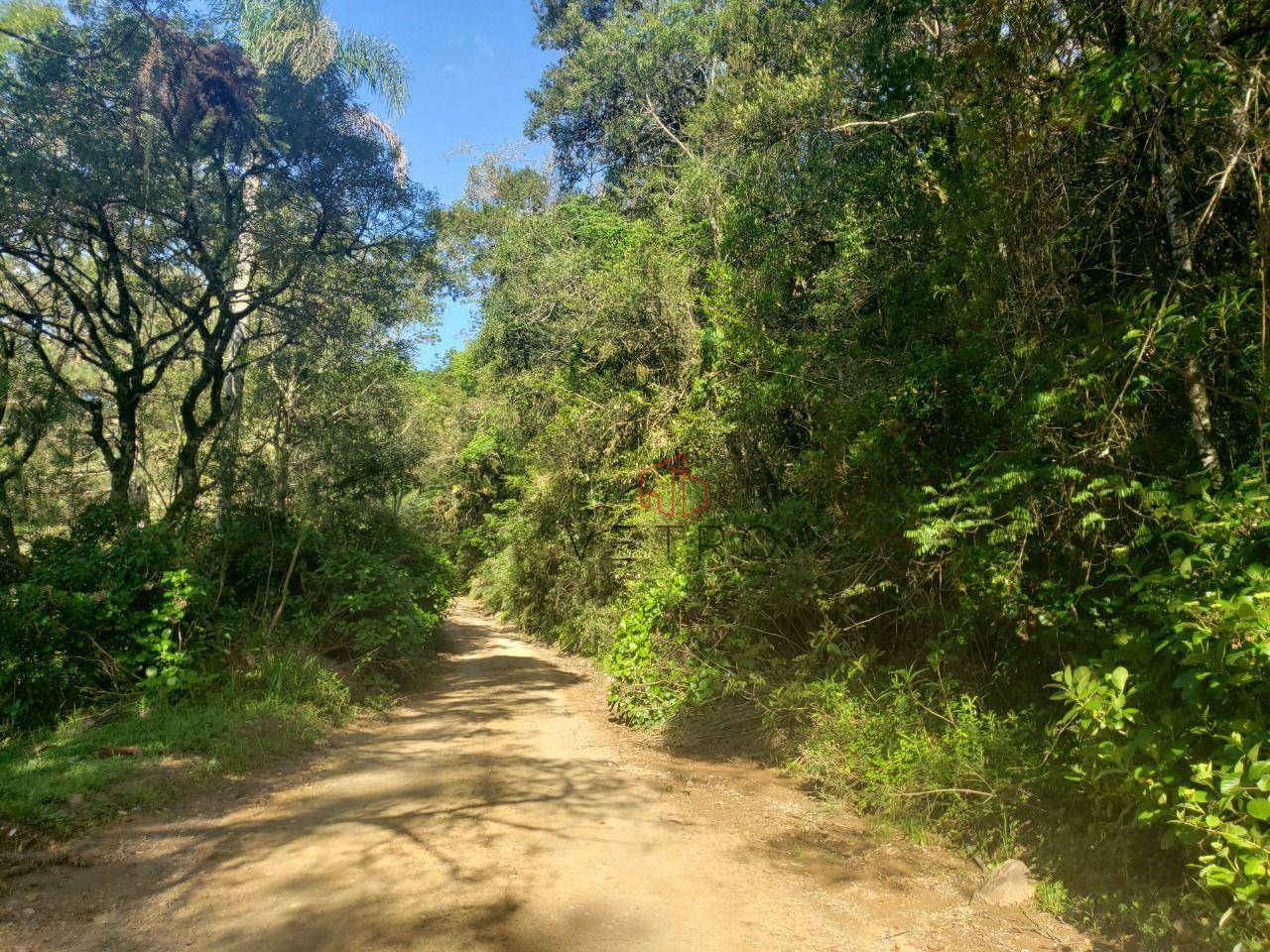 Terreno à venda, 59000M2 - Foto 3