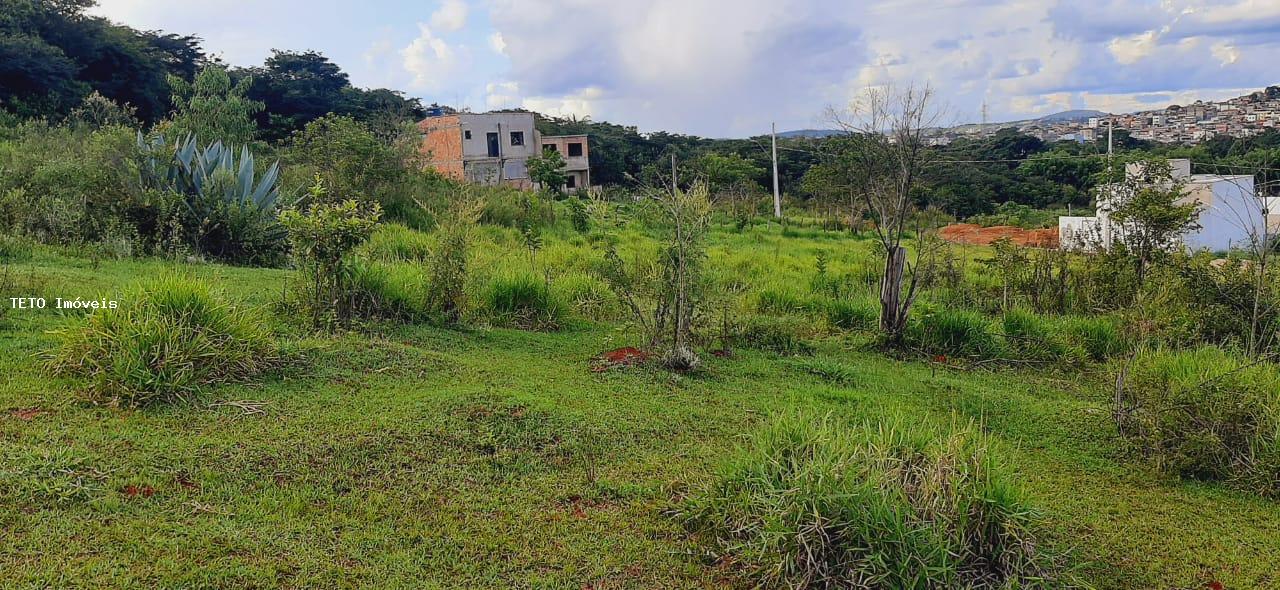 Terreno à venda, 2670m² - Foto 2