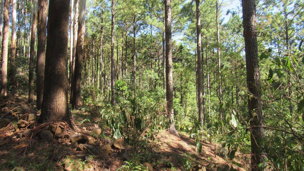 Terreno à venda, 223000M2 - Foto 25