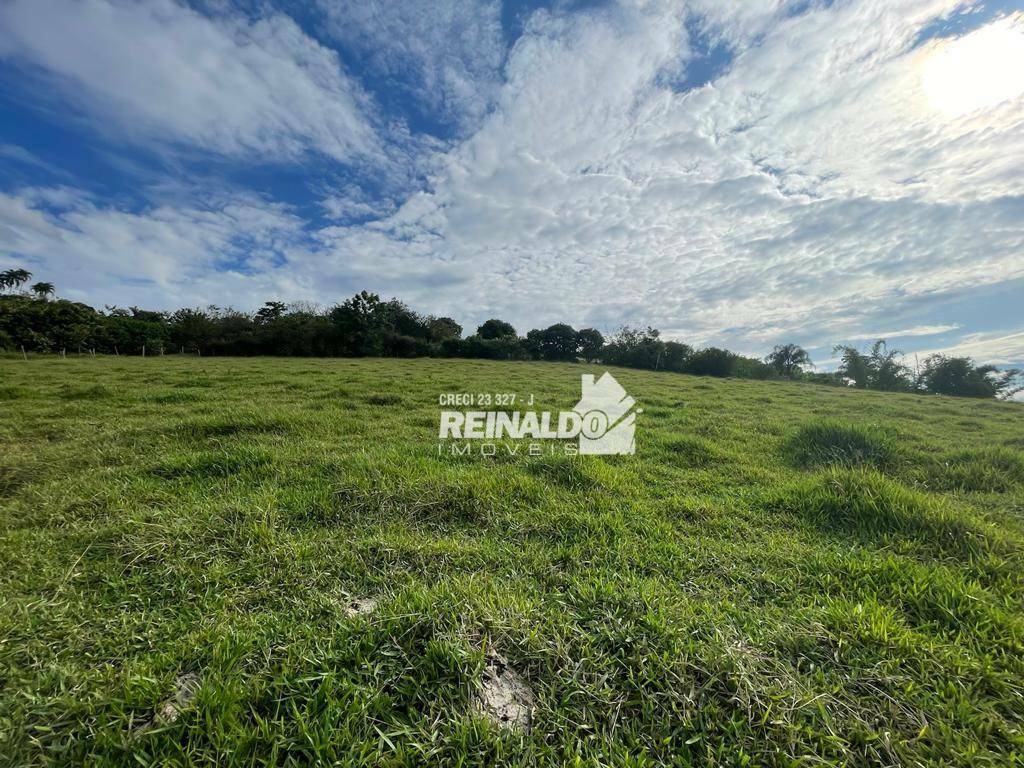 Terreno à venda, 12000M2 - Foto 3