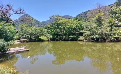 Fazenda à venda com 4 quartos, 96m² - Foto 3