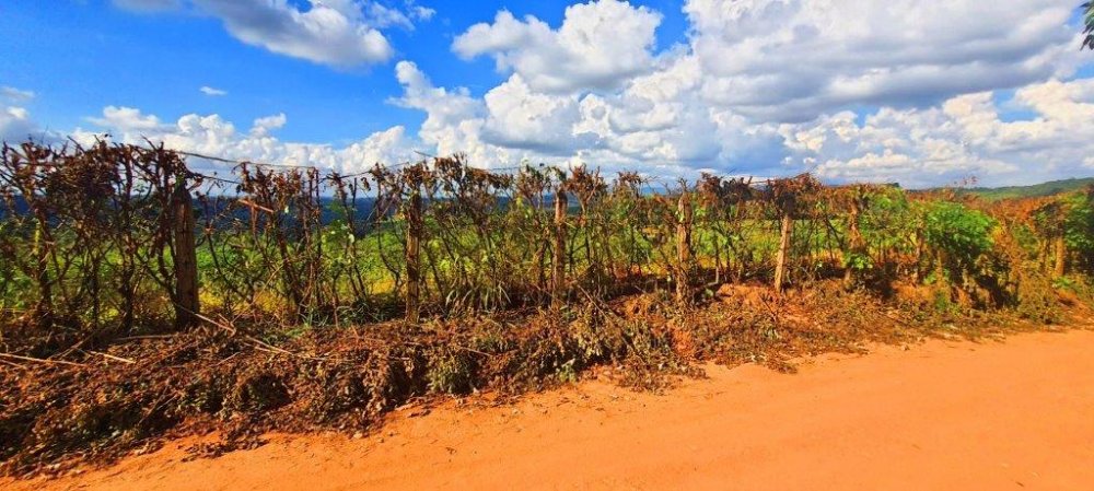 Fazenda à venda, 20535m² - Foto 19