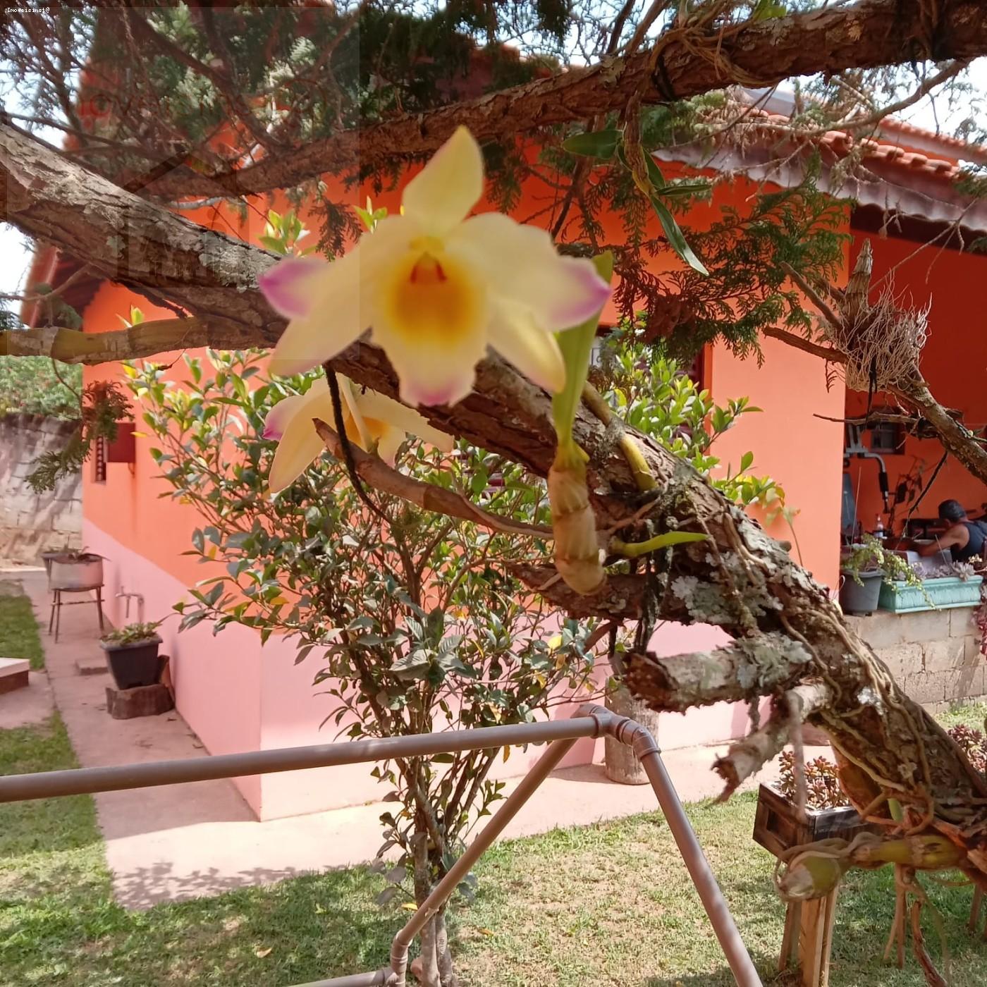 Chácara à venda com 2 quartos, 1195m² - Foto 5