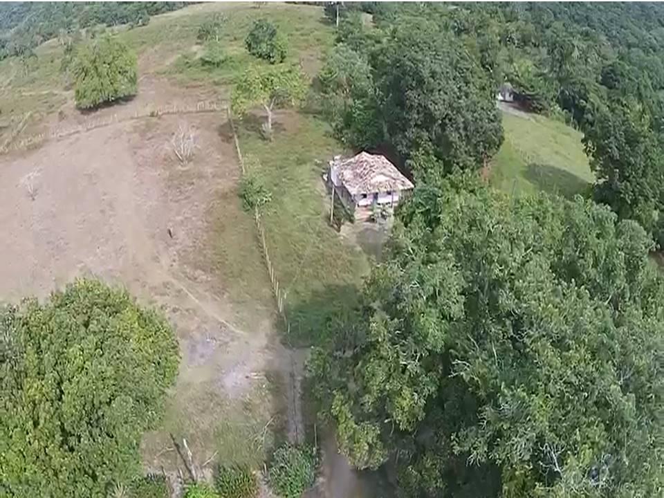 Fazenda à venda com 8 quartos, 1000m² - Foto 7