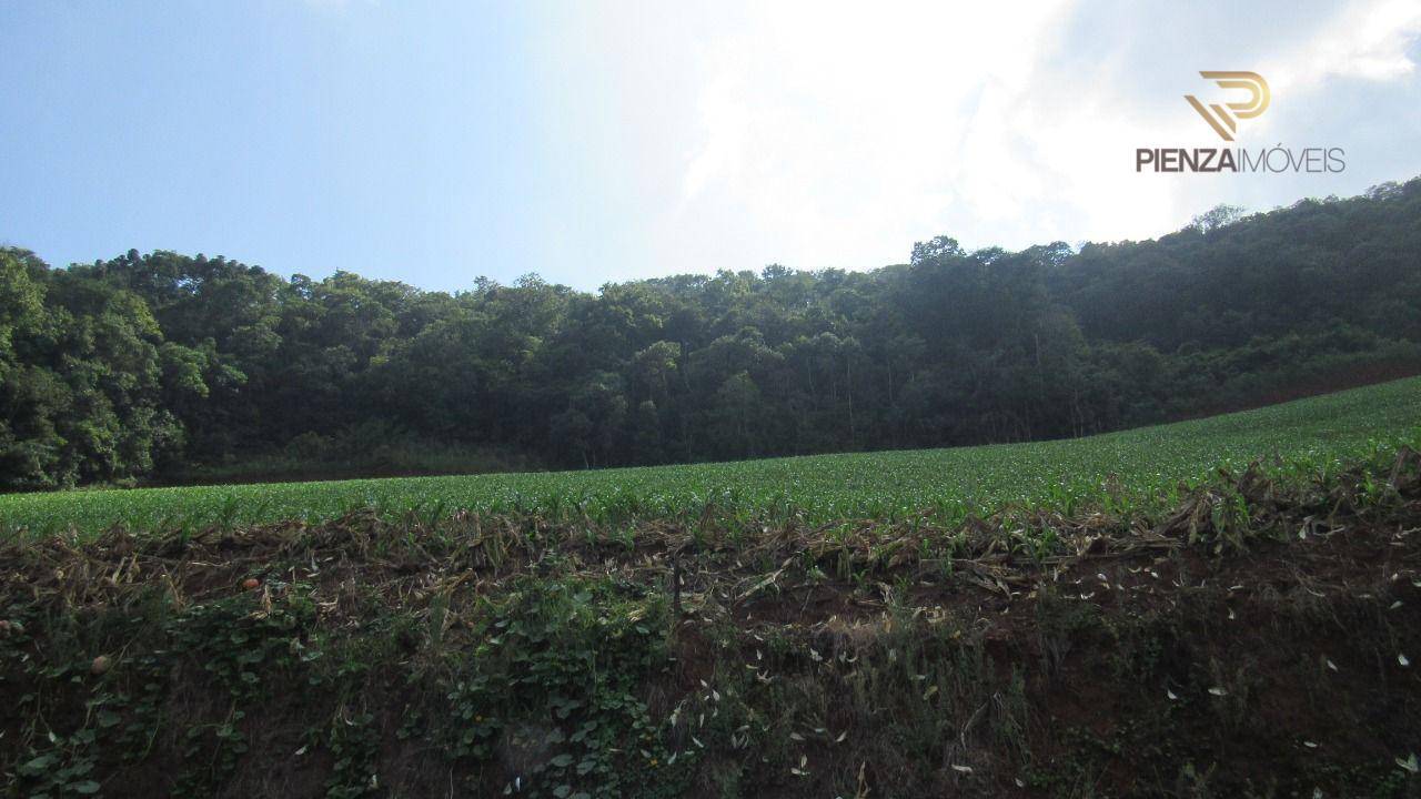 Terreno, 10 hectares - Foto 2