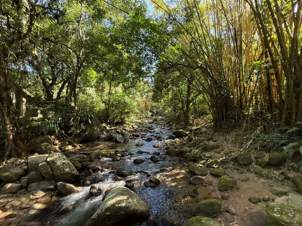 Sítio à venda com 26 quartos, 120000m² - Foto 22