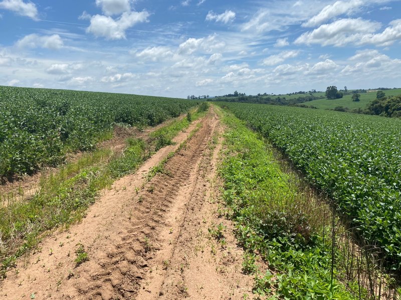 Fazenda à venda, 140m² - Foto 5