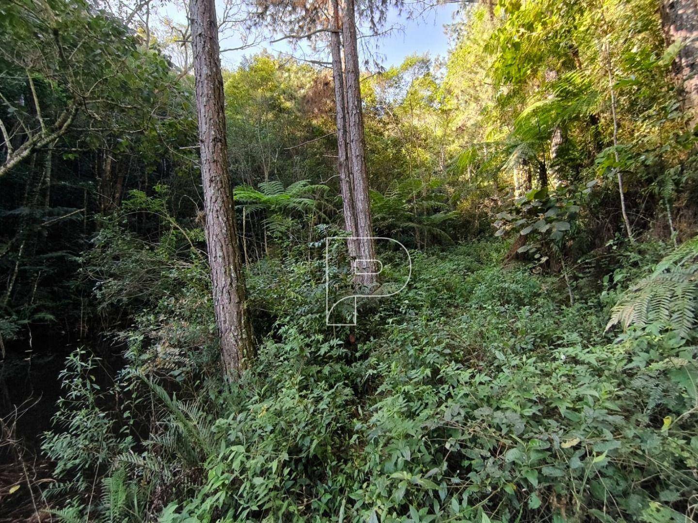 Terreno à venda, 75000M2 - Foto 32