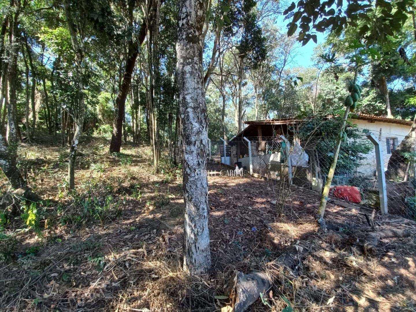 Chácara à venda e aluguel com 3 quartos, 200m² - Foto 46