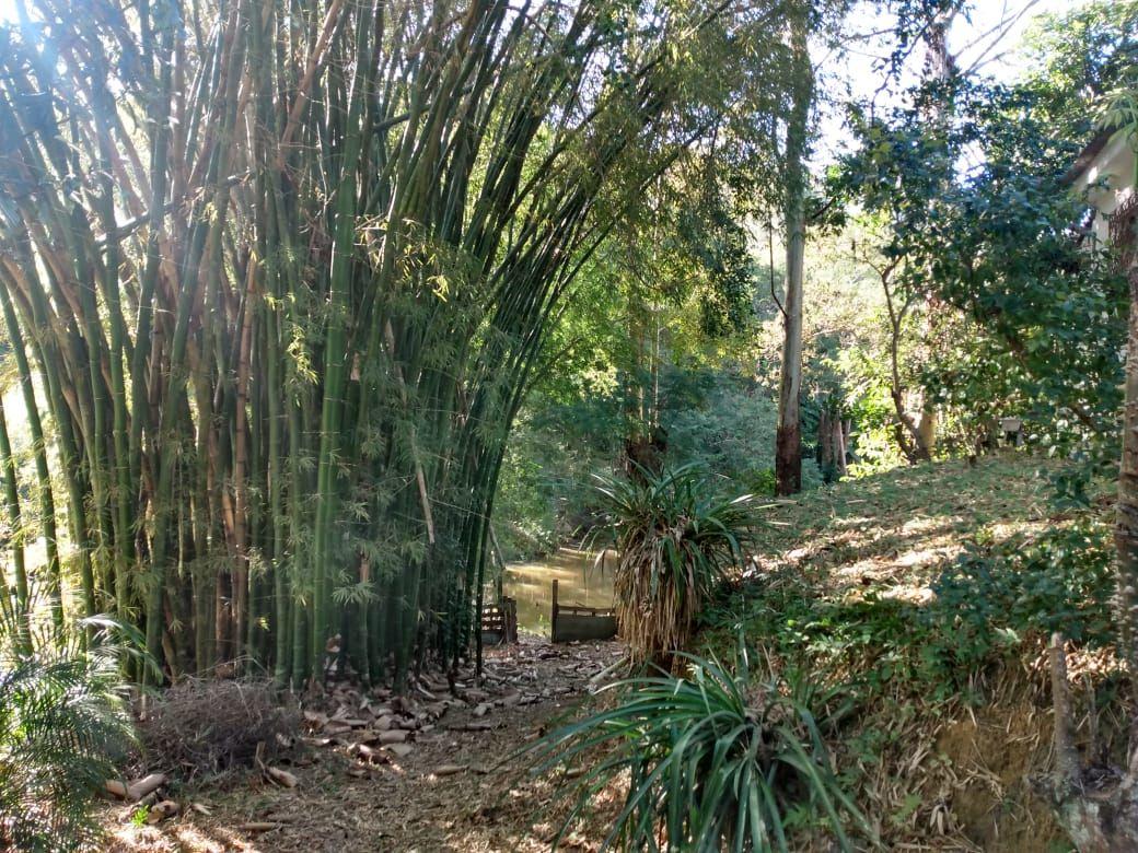 Fazenda à venda com 4 quartos, 120m² - Foto 8