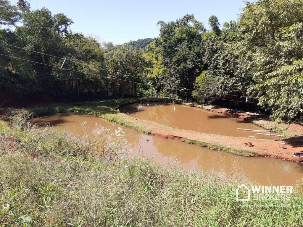 Chácara à venda com 3 quartos, 6000M2 - Foto 8