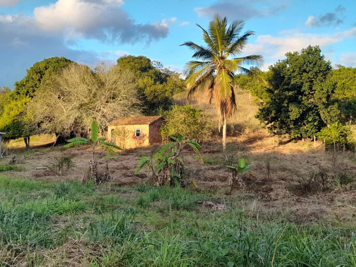 Terreno à venda, 5000m² - Foto 1