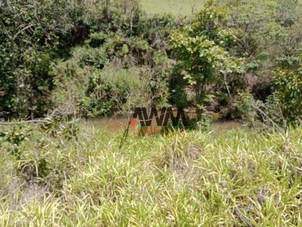 Fazenda à venda com 4 quartos, 820000M2 - Foto 17