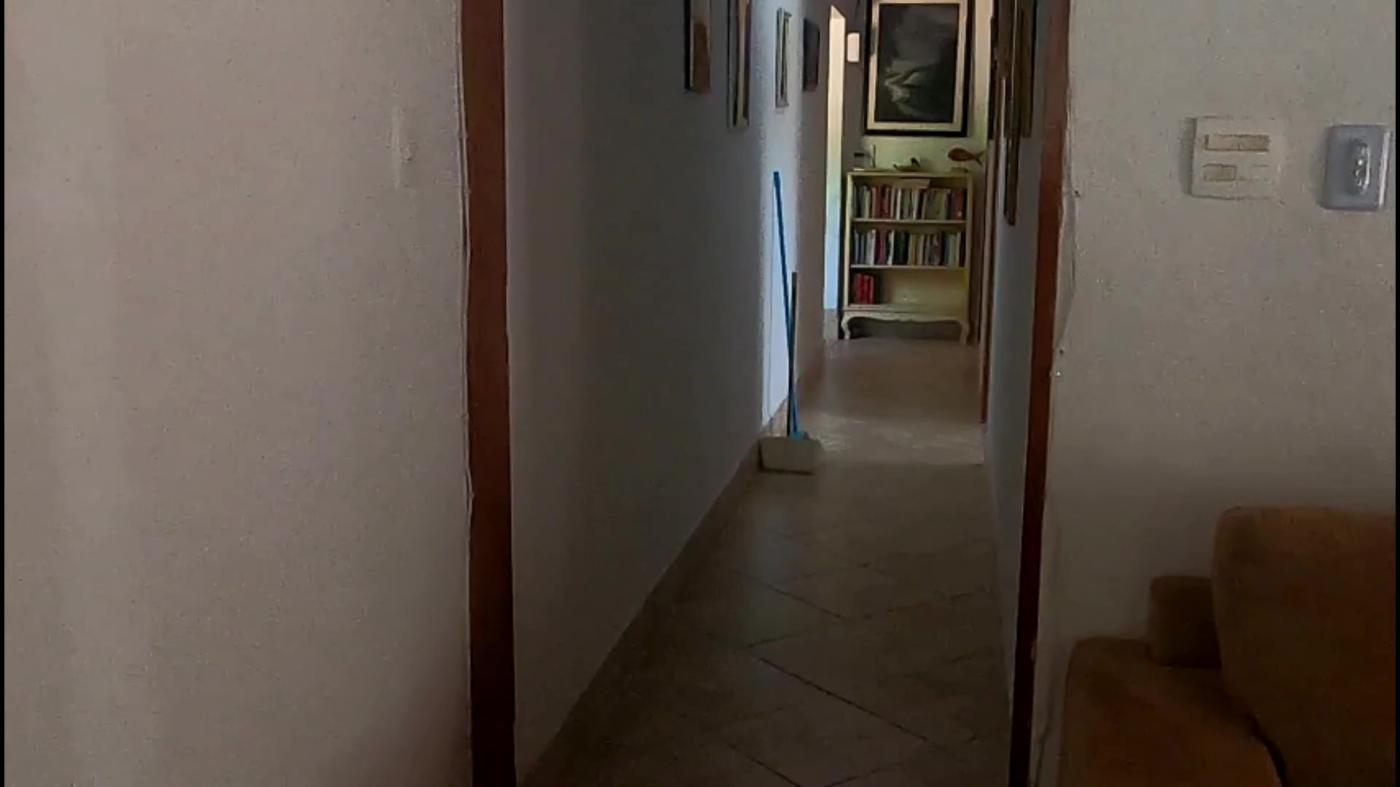 Chácara à venda com 3 quartos, 4500m² - Foto 22