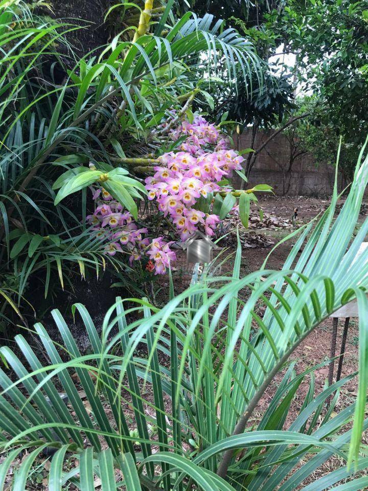 Chácara, 3 quartos, 1200 m² - Foto 9