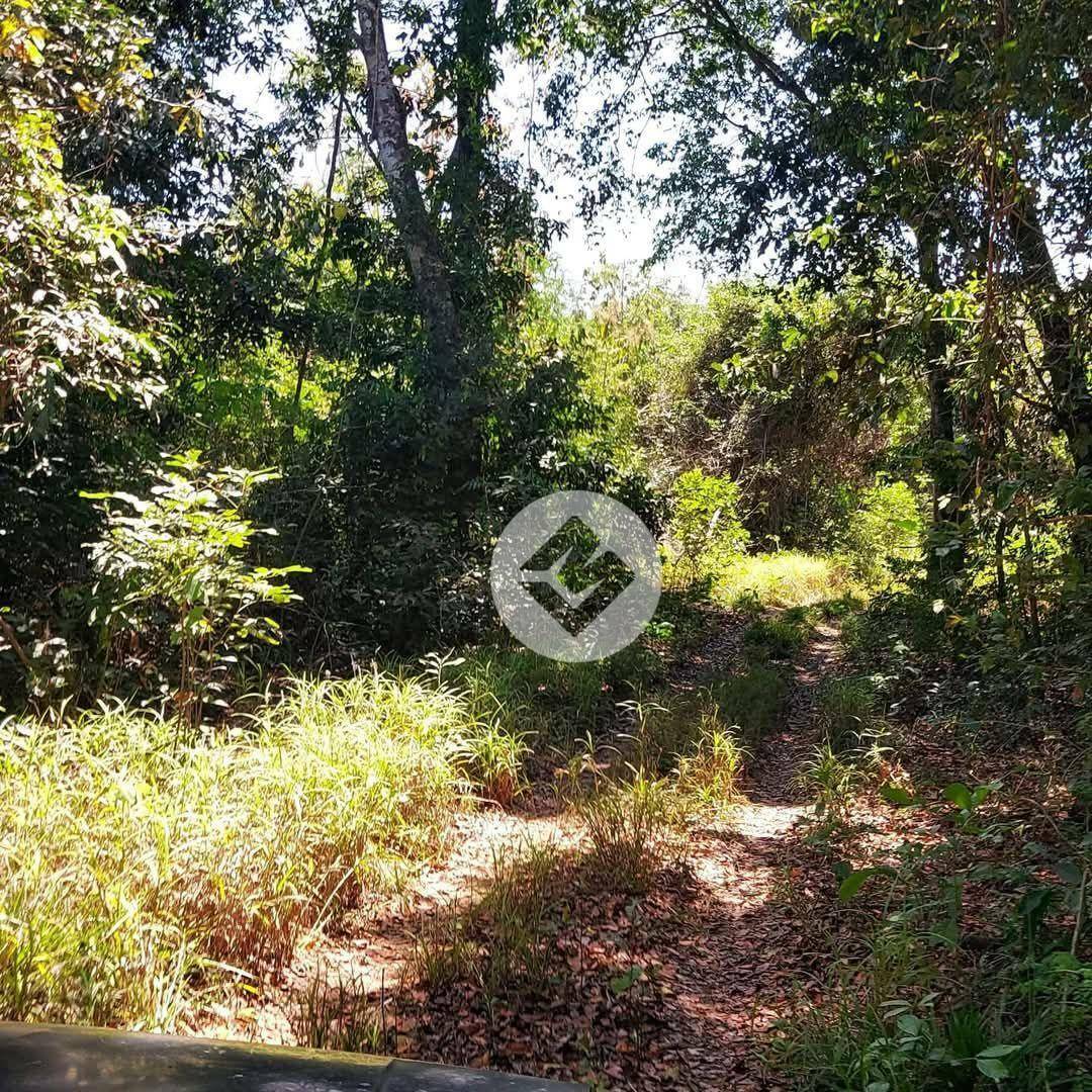 Fazenda à venda, 7170000M2 - Foto 4