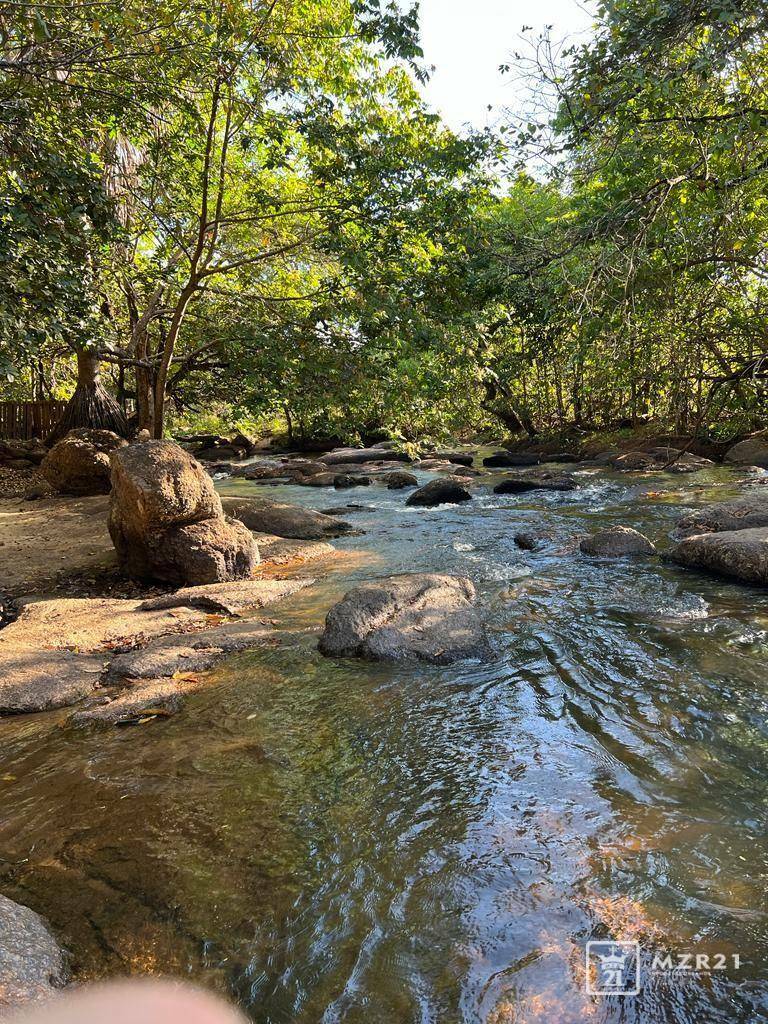 Chácara à venda com 4 quartos, 6000M2 - Foto 57