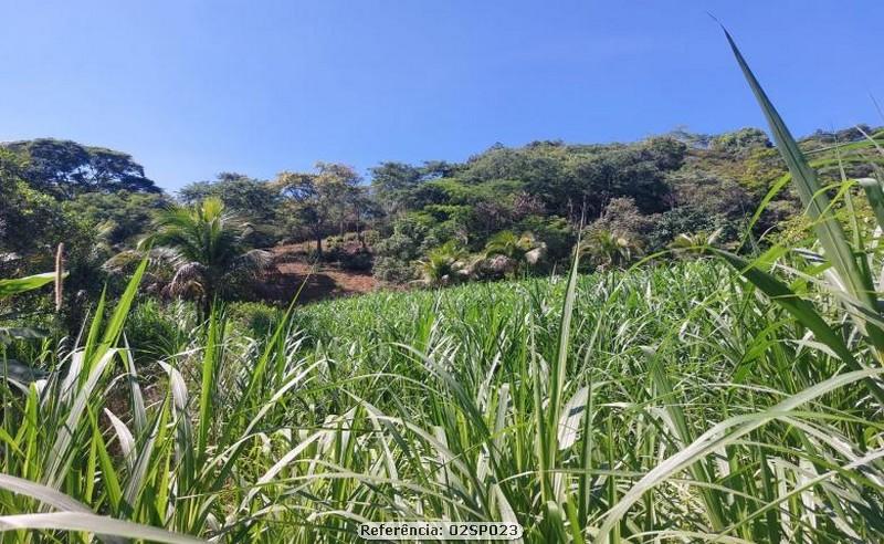 Fazenda à venda com 2 quartos, 110000m² - Foto 19