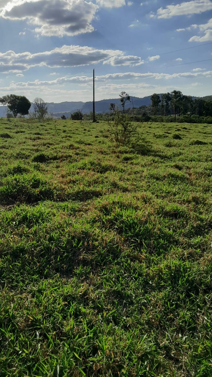 Terreno, 6 hectares - Foto 1