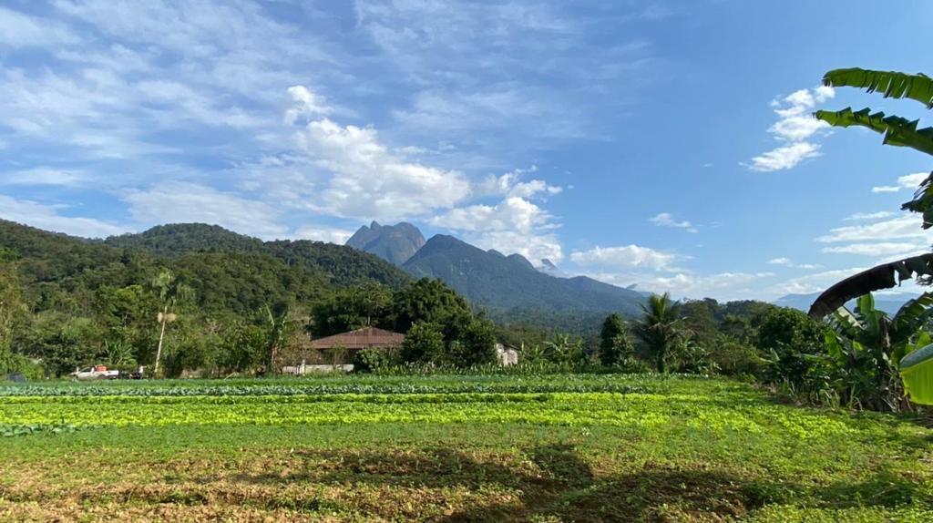 Chácara à venda com 3 quartos, 12000m² - Foto 9