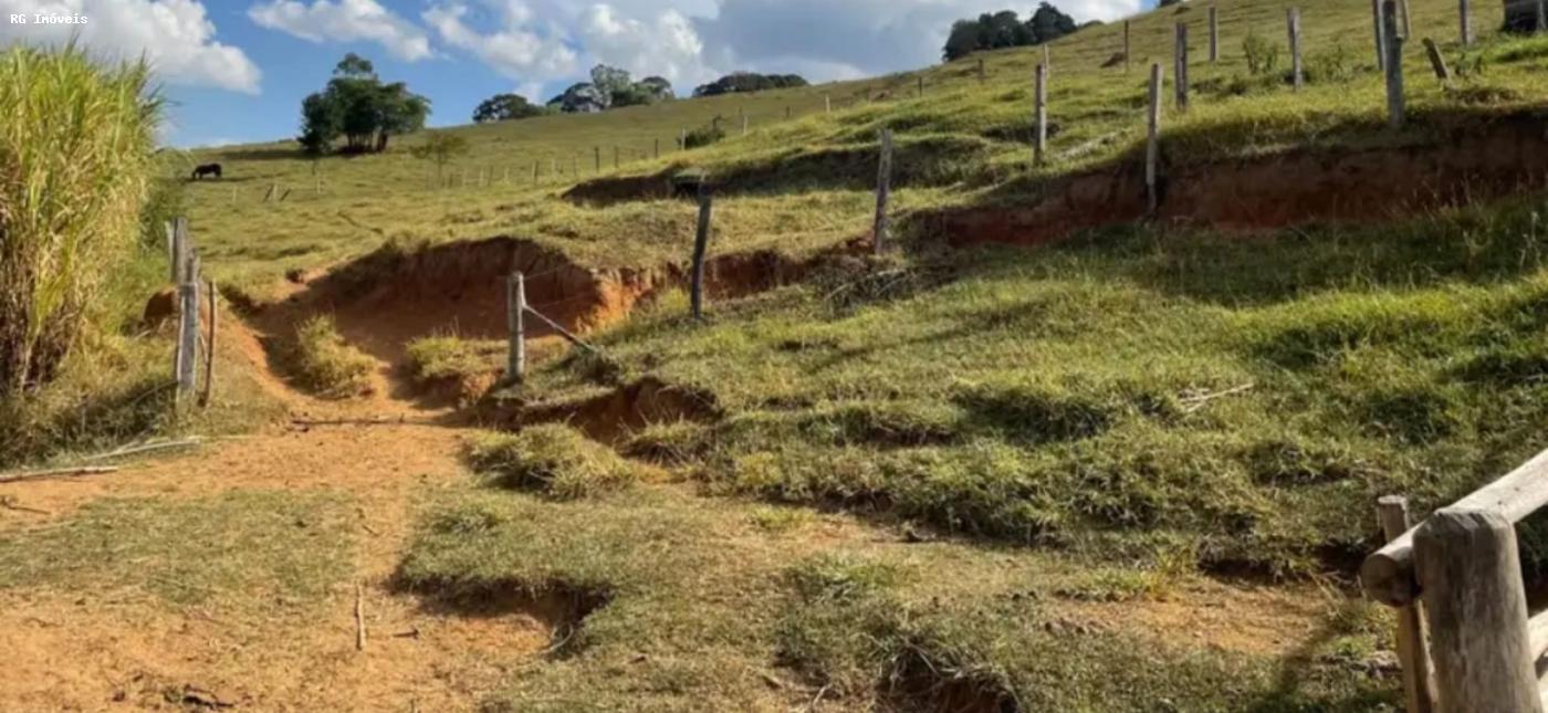 Sítio à venda com 3 quartos, 150m² - Foto 9