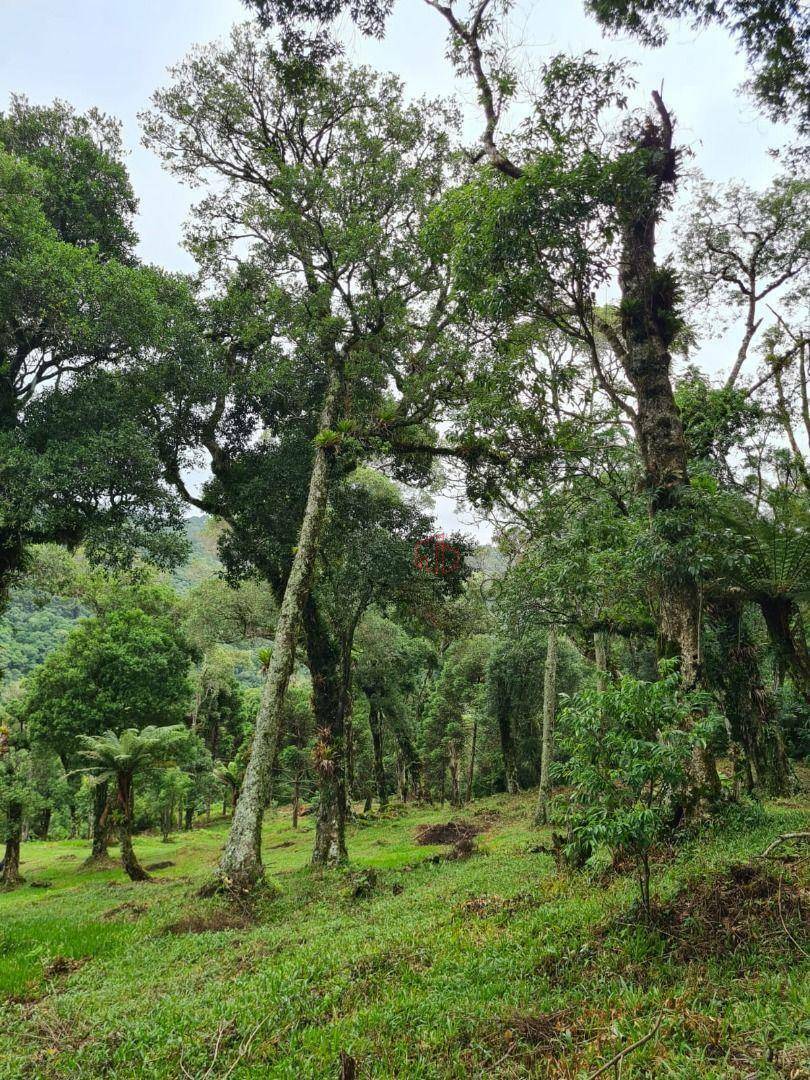 Terreno à venda, 3400M2 - Foto 3