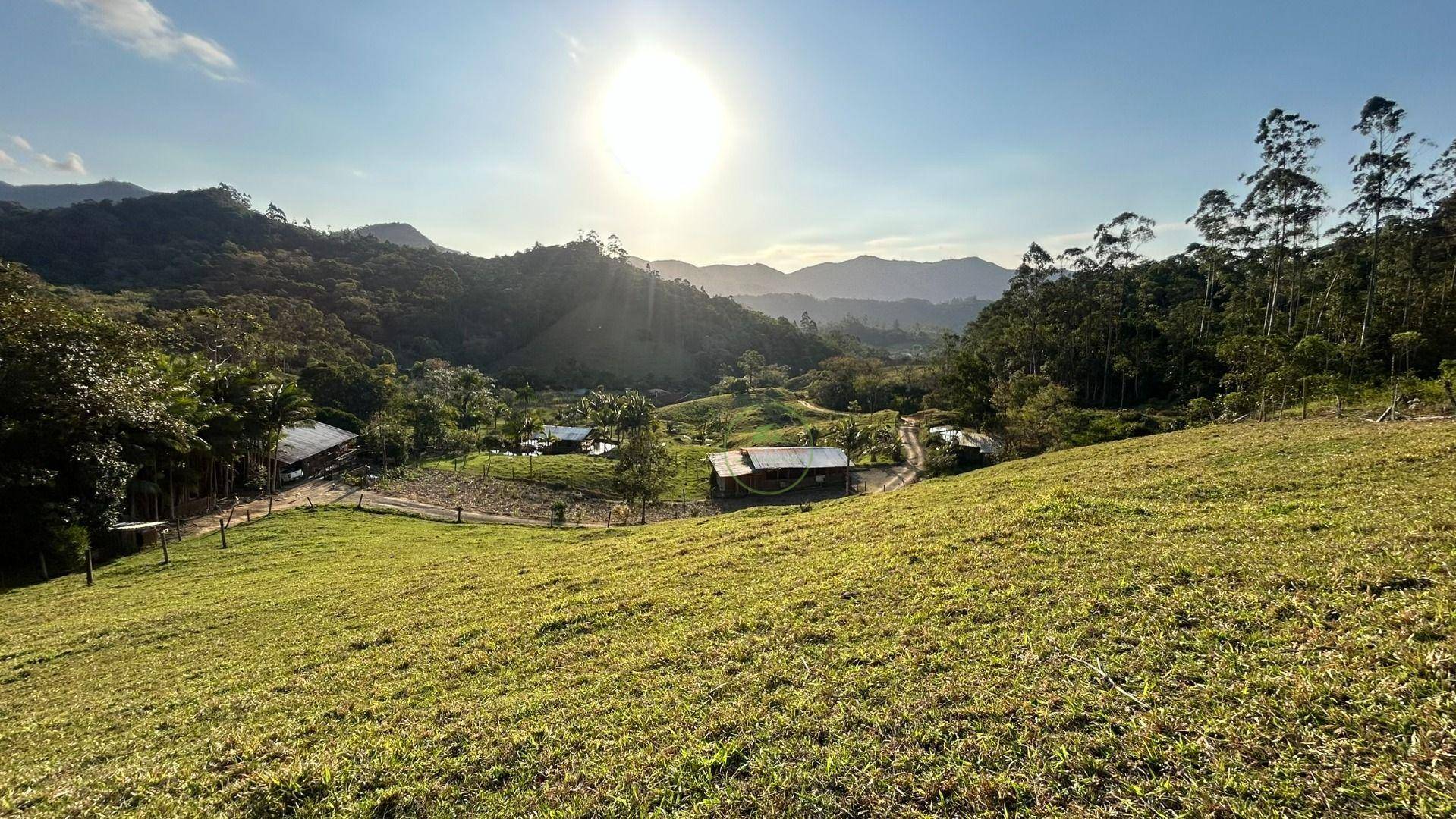 Sítio, 16 hectares - Foto 3